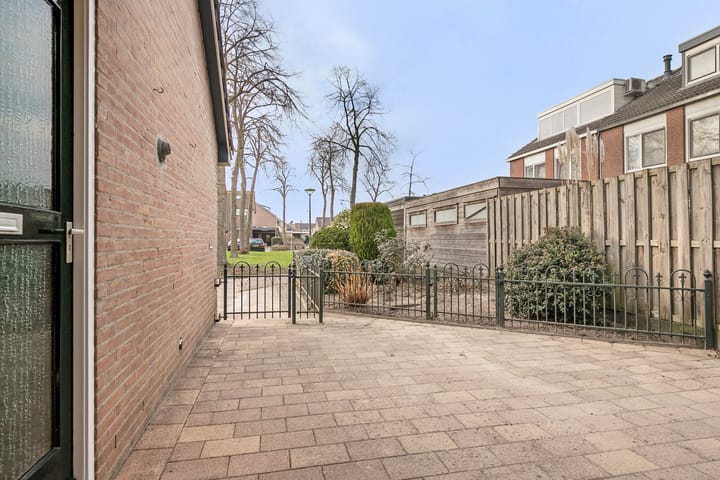 Foto 6 van Rietgans 20