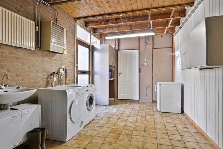 Foto 11 van Rietgans 20