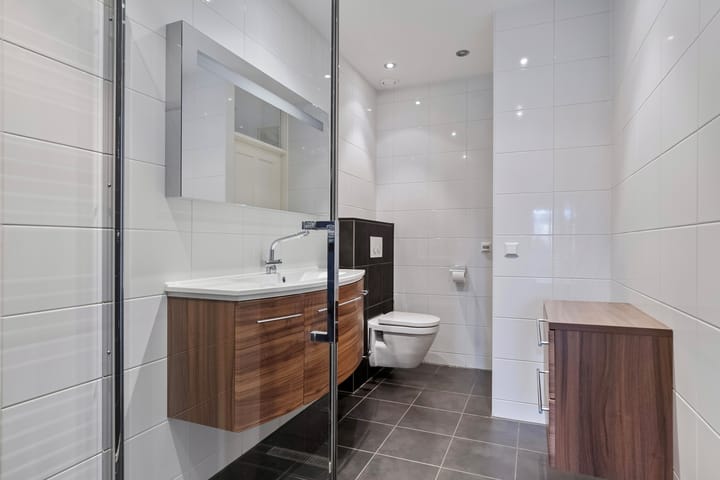 Foto 21 van Rietgans 20