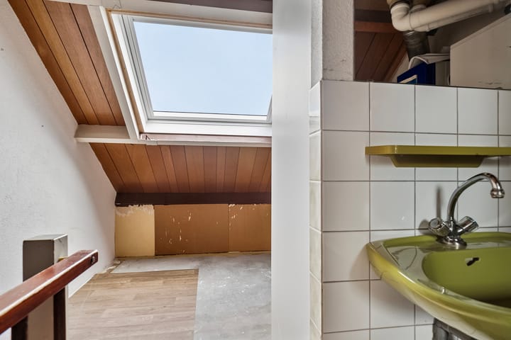 Foto 25 van Rietgans 20