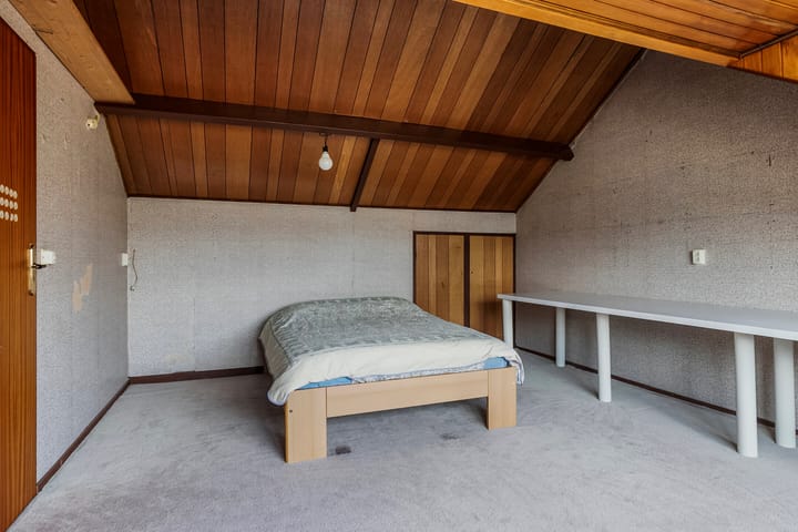 Foto 30 van Rietgans 20