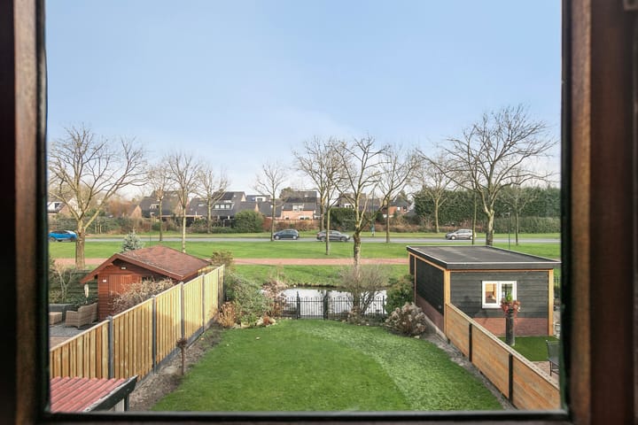 Foto 31 van Rietgans 20