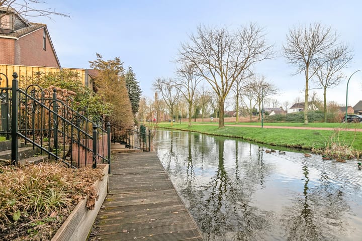 Foto 36 van Rietgans 20