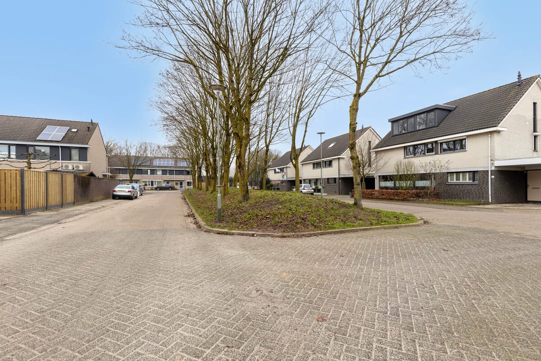 Foto 31 van Vingerhoedskruid 42