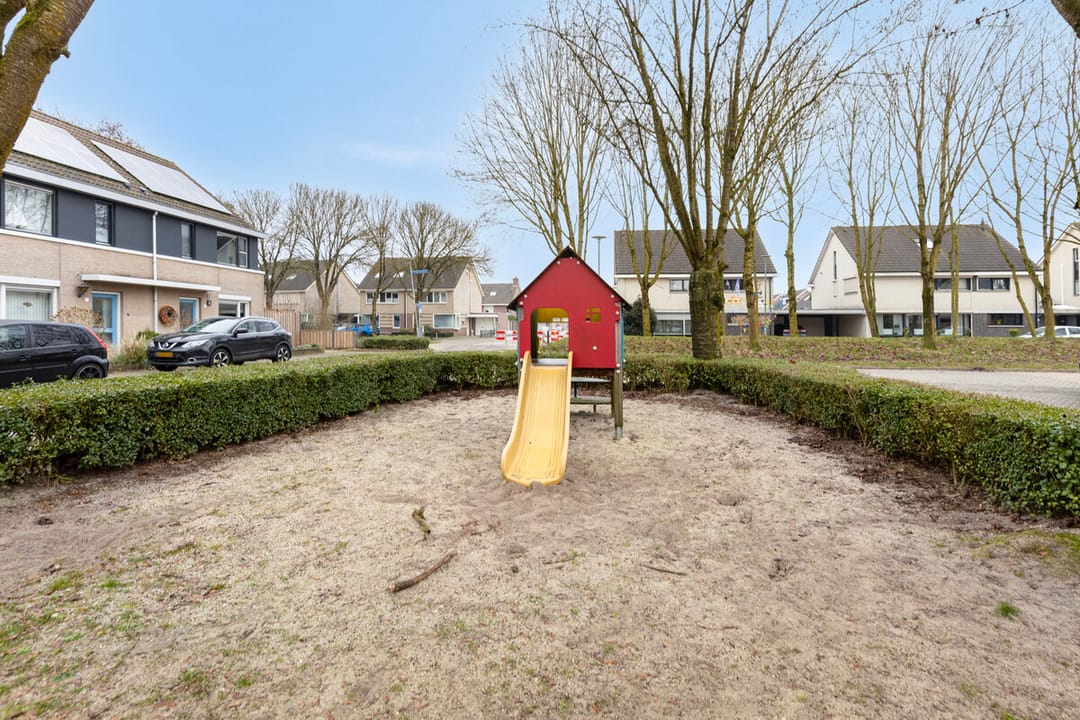 Foto 32 van Vingerhoedskruid 42