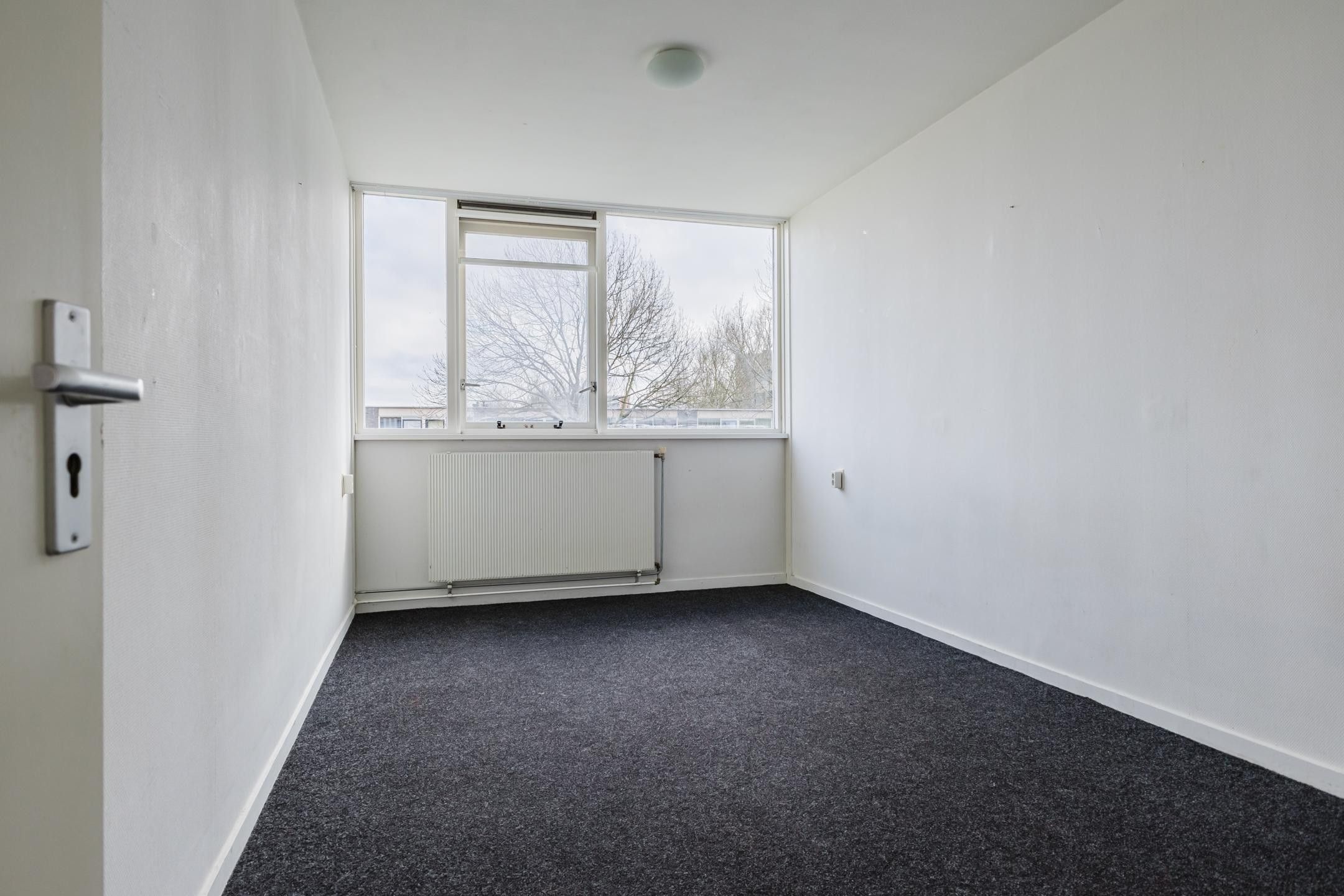 Foto 15 van de Fennen 7