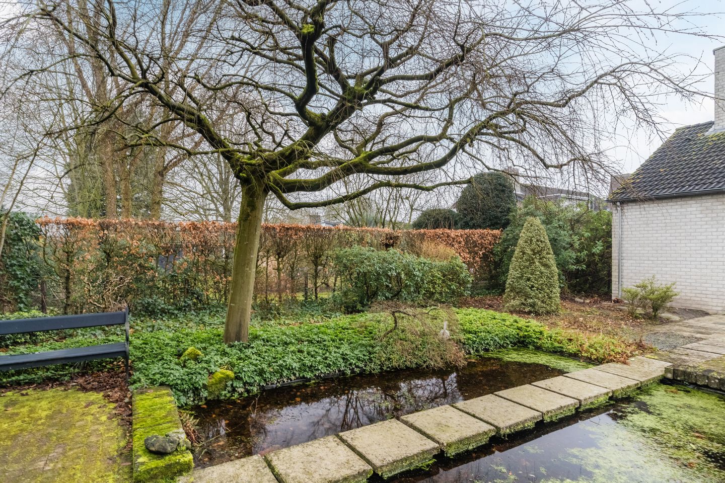 Foto 50 van Stelt 12