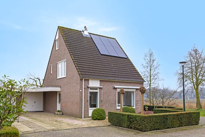 undefined main image