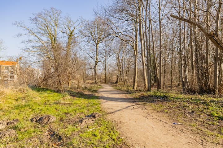 Foto 5 van Scheldestraat 123