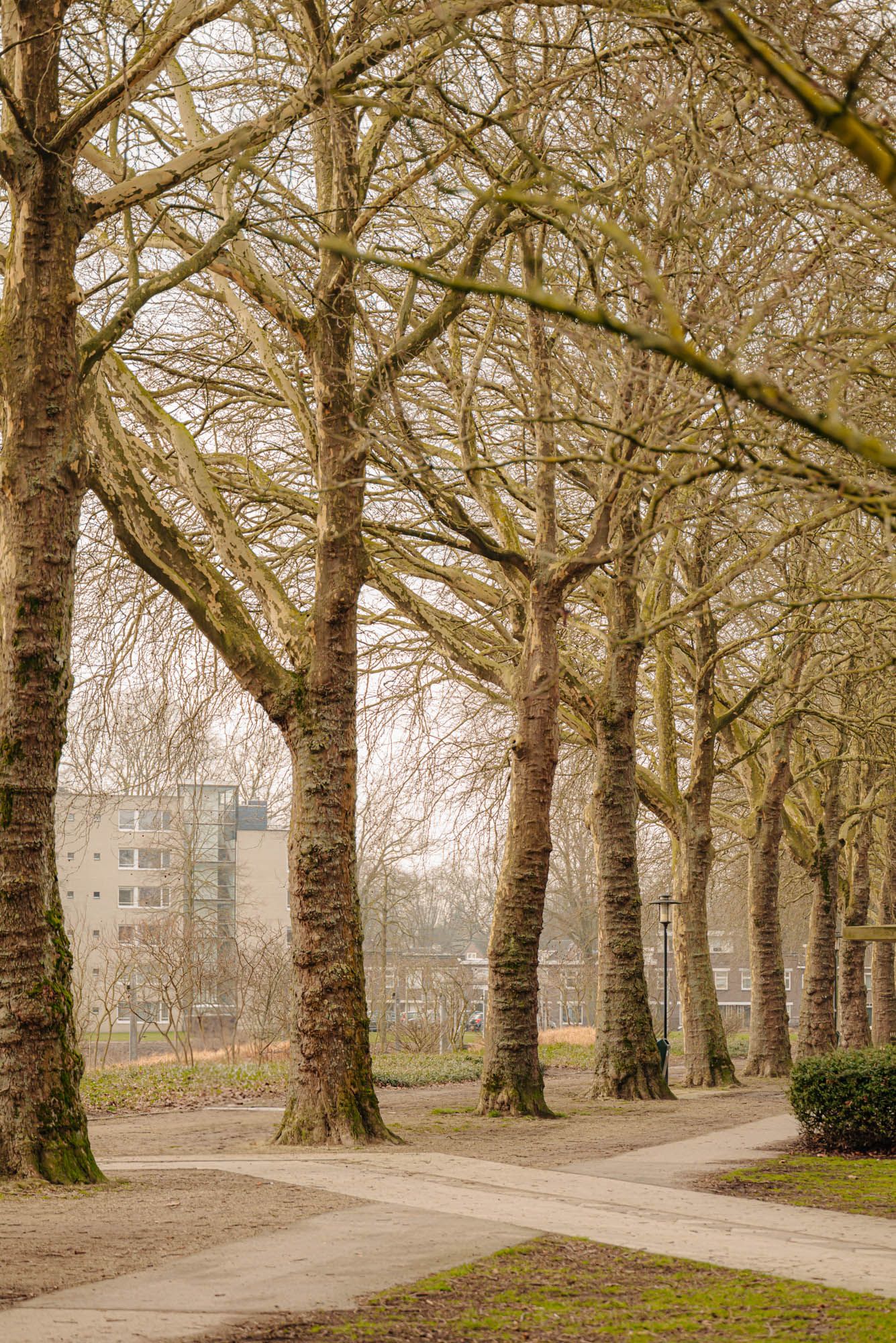 Foto 33 van Diepenstraat 118