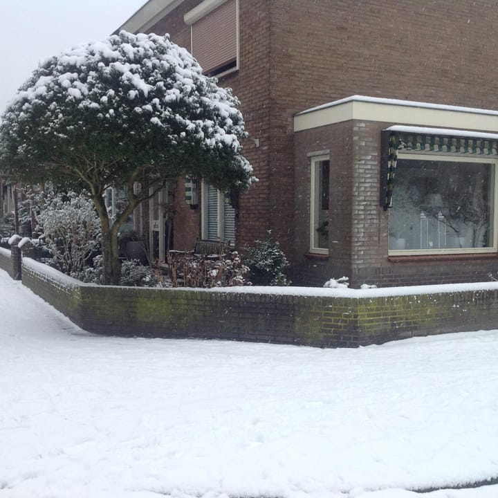 Foto 41 van Scheldestraat 123