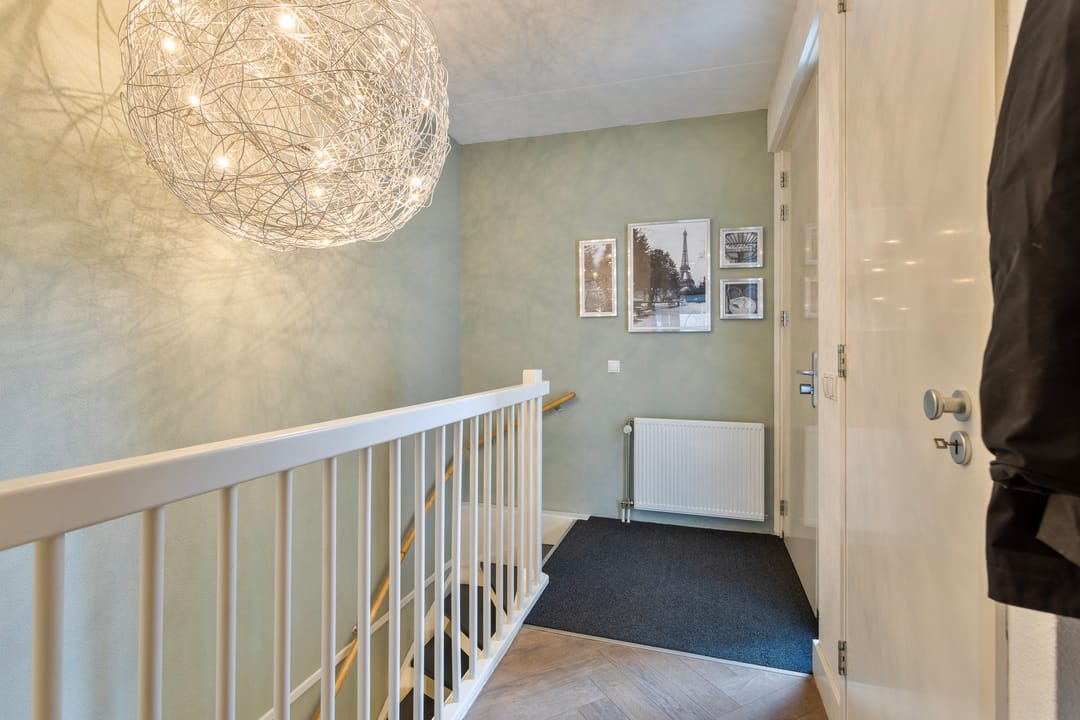 Foto 7 van Bosfazant 11