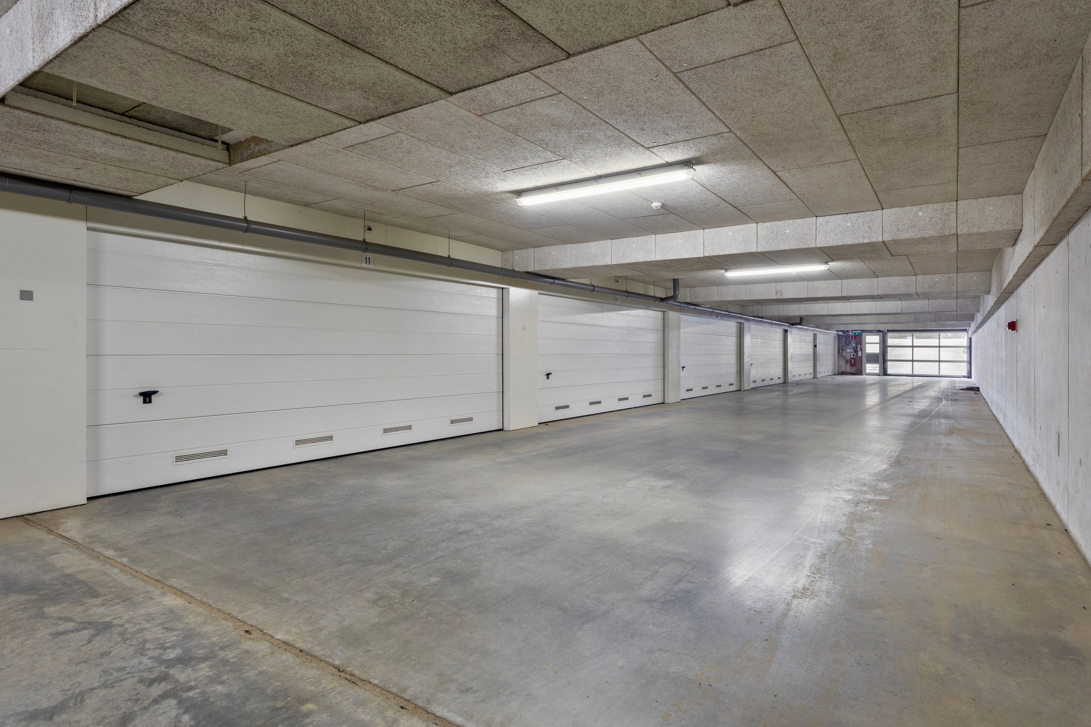 Foto 33 van Bosfazant 11