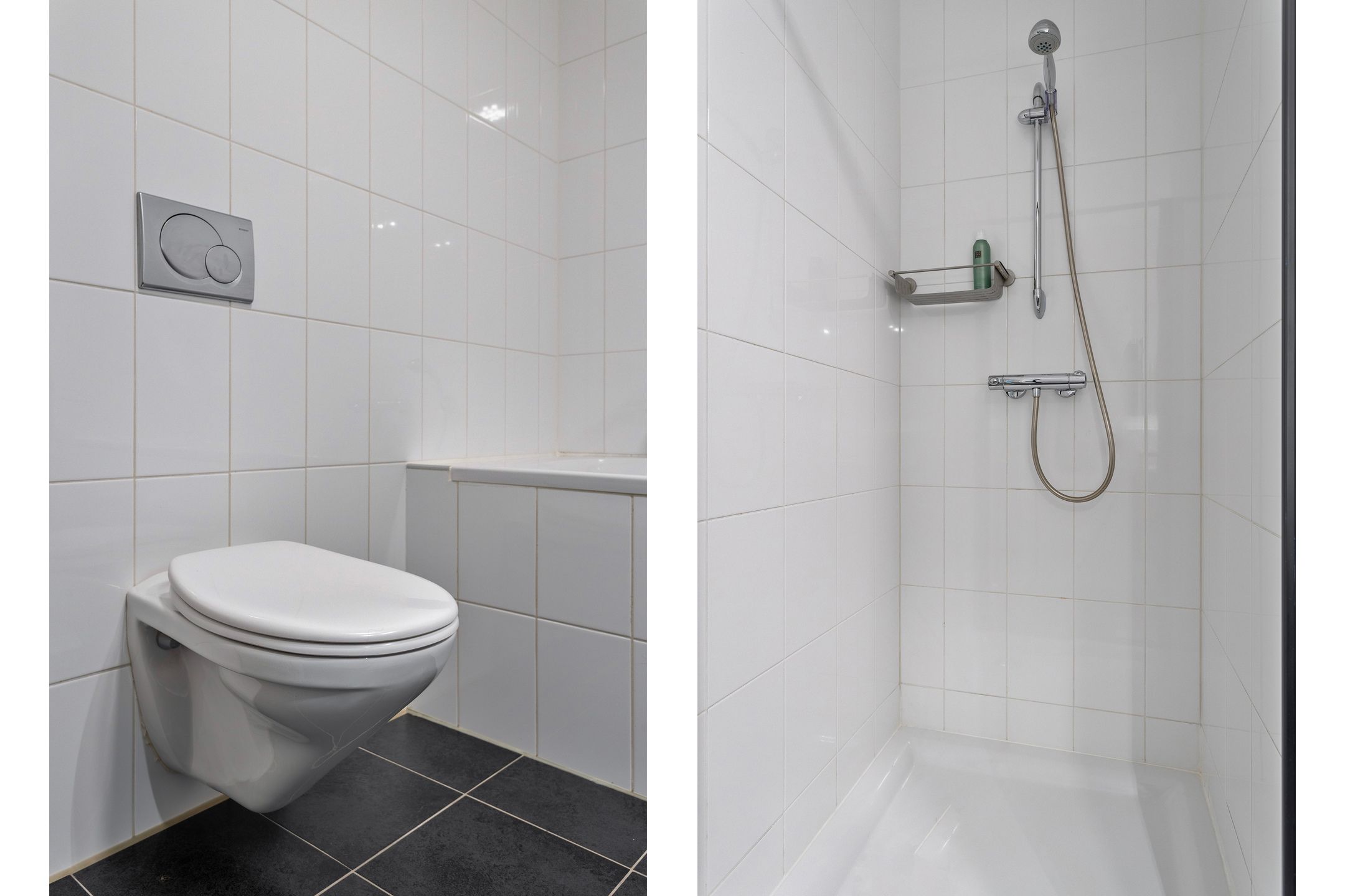 Foto 48 van Bosfazant 11