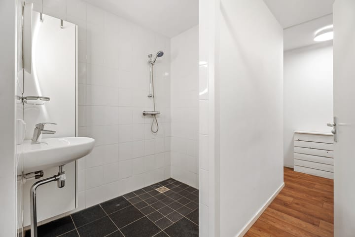 Foto 12 van Grote Haag 10