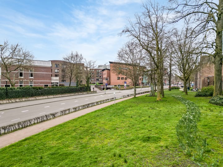 Foto 19 van Grote Haag 10