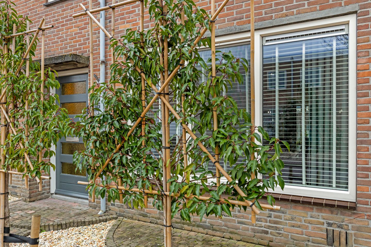 Foto 29 van Rembrandtstraat 10