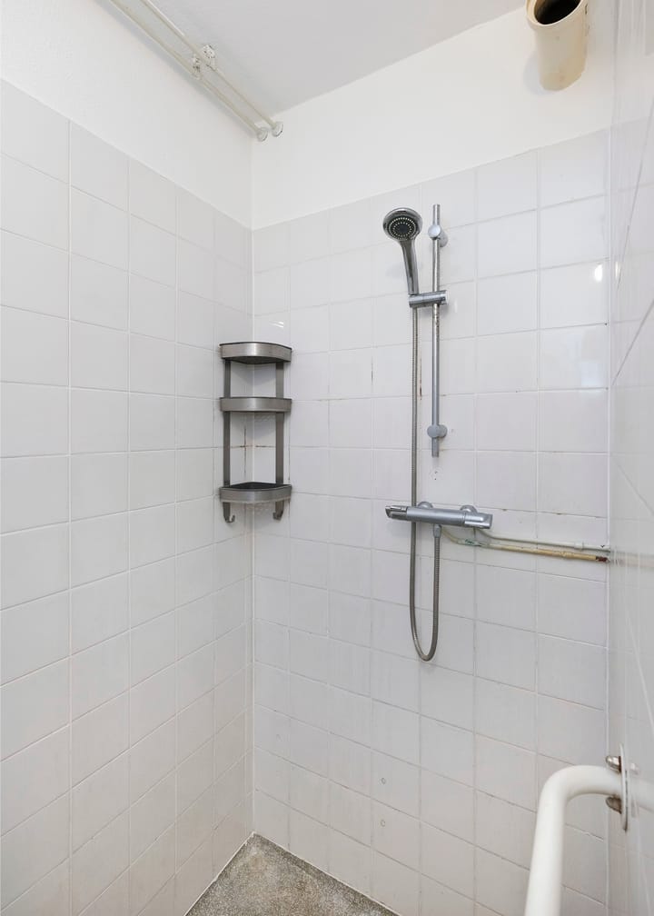 Foto 10 van Koolmeesstraat 29