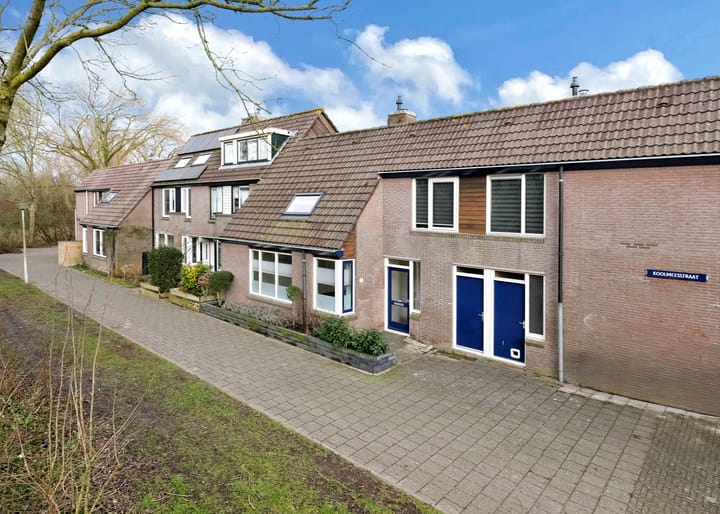 Foto 22 van Koolmeesstraat 29
