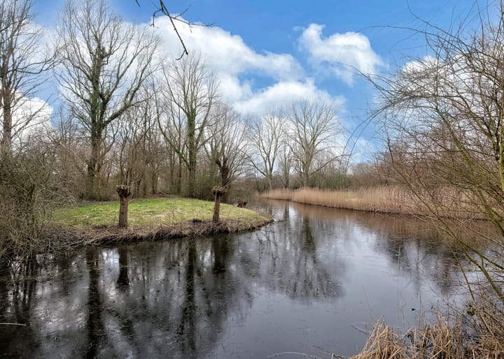 Foto 25 van Koolmeesstraat 29