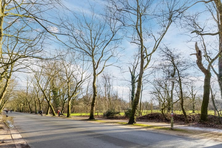 Foto 25 van Paramariboplein 56-2