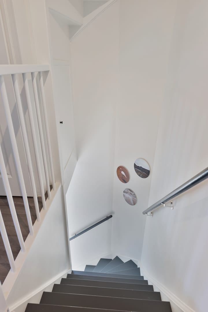 Foto 23 van Pauwoog 4