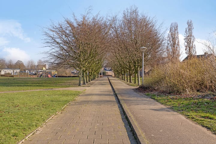 Foto 49 van Pauwoog 4