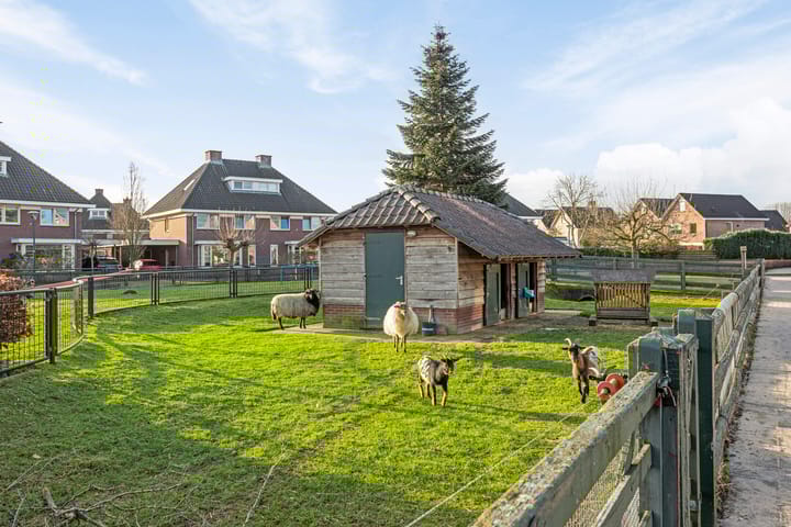 Foto 40 van Het Ham 30