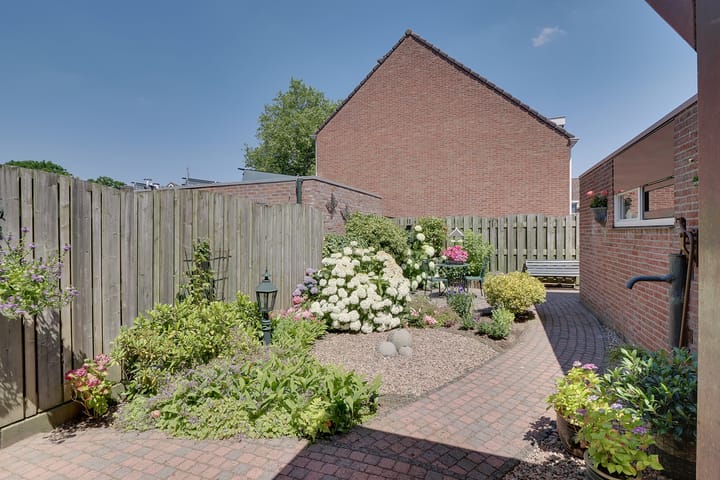 Foto 14 van de Plataan 31