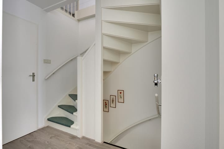 Foto 29 van de Plataan 31