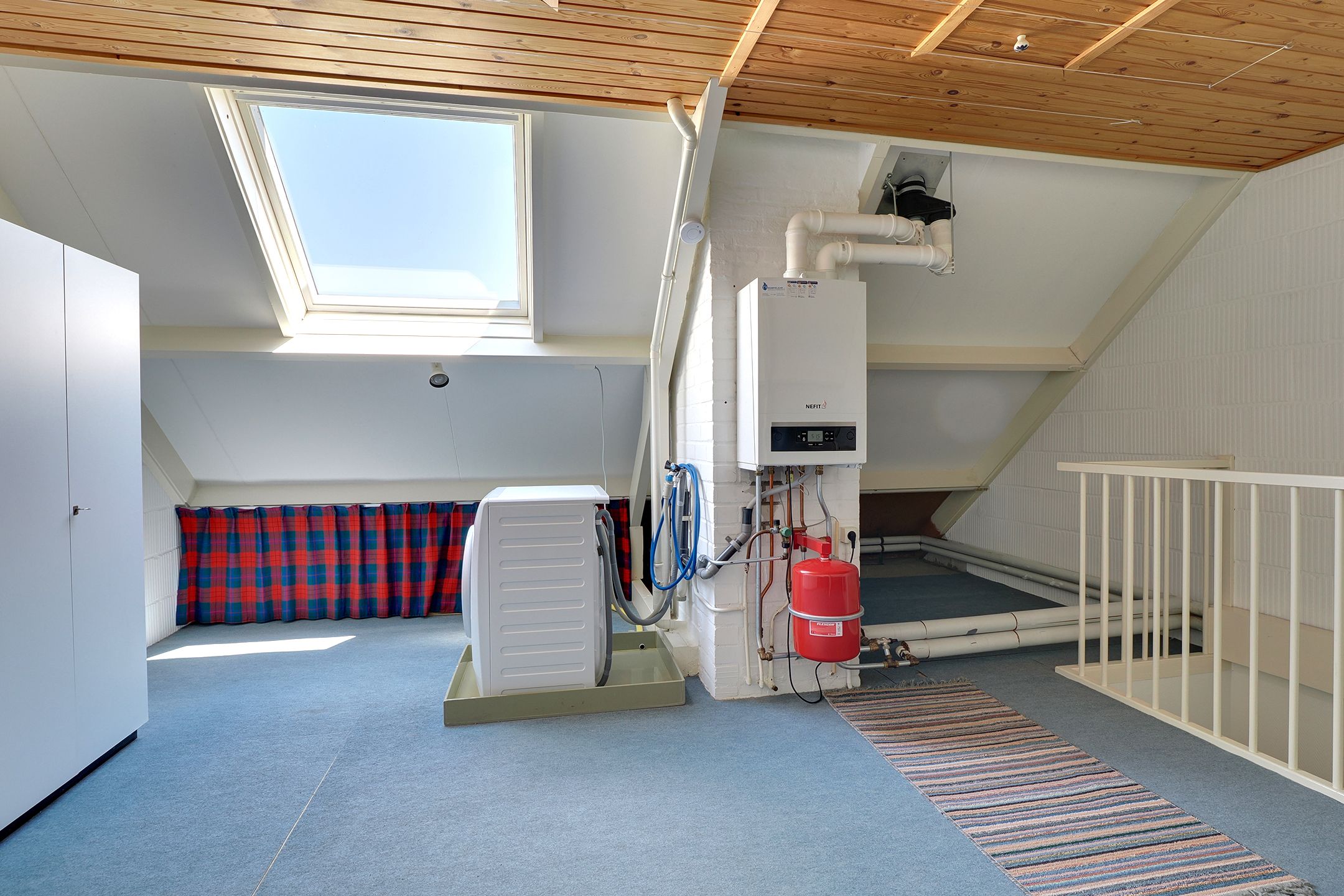 Foto 30 van de Plataan 31