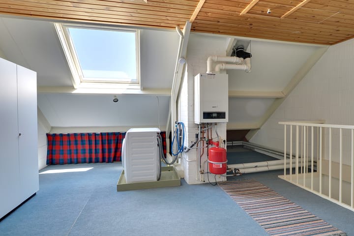 Foto 30 van de Plataan 31