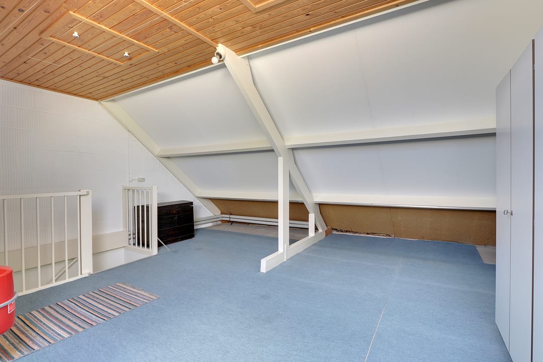 Foto 31 van de Plataan 31