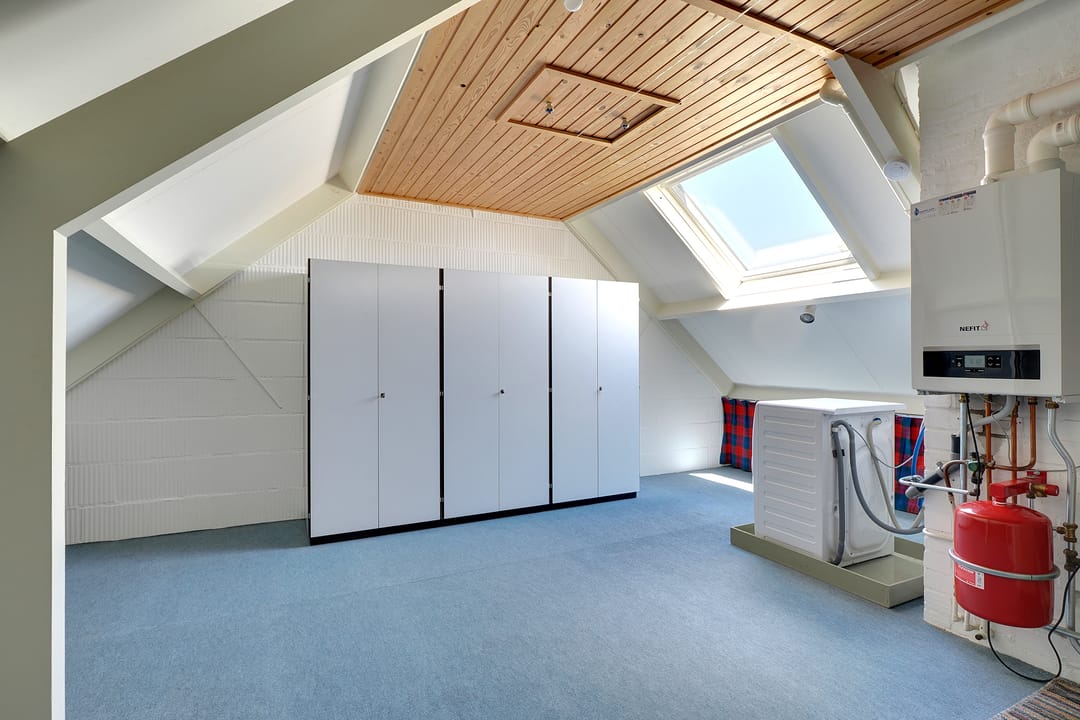 Foto 32 van de Plataan 31