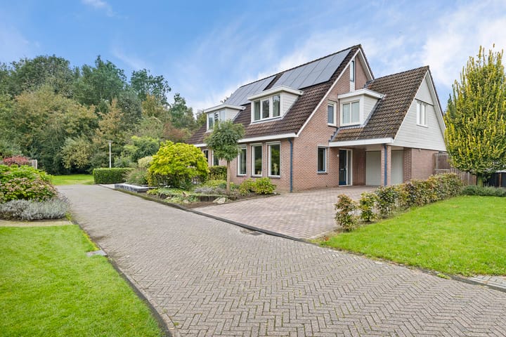 Foto 42 van Kolkakkers 25