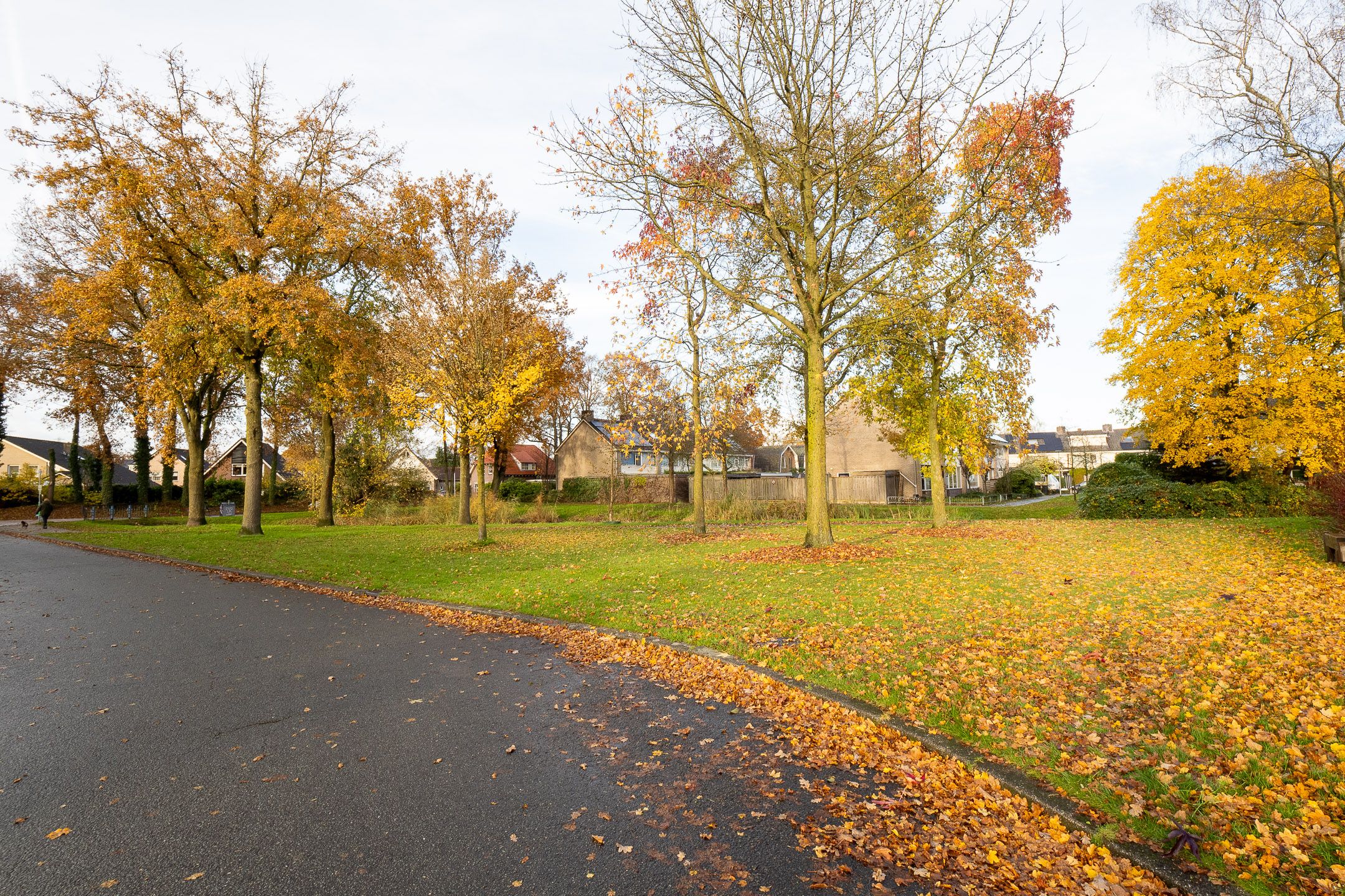 Foto 42 van Vechtlaan 41