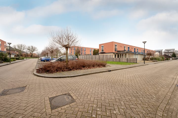 Foto 27 van Zuidewijn 15