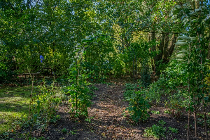 Photo 55 of Hoofdstraat 49