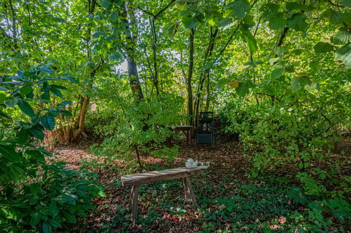 Photo 57 of Hoofdstraat 49