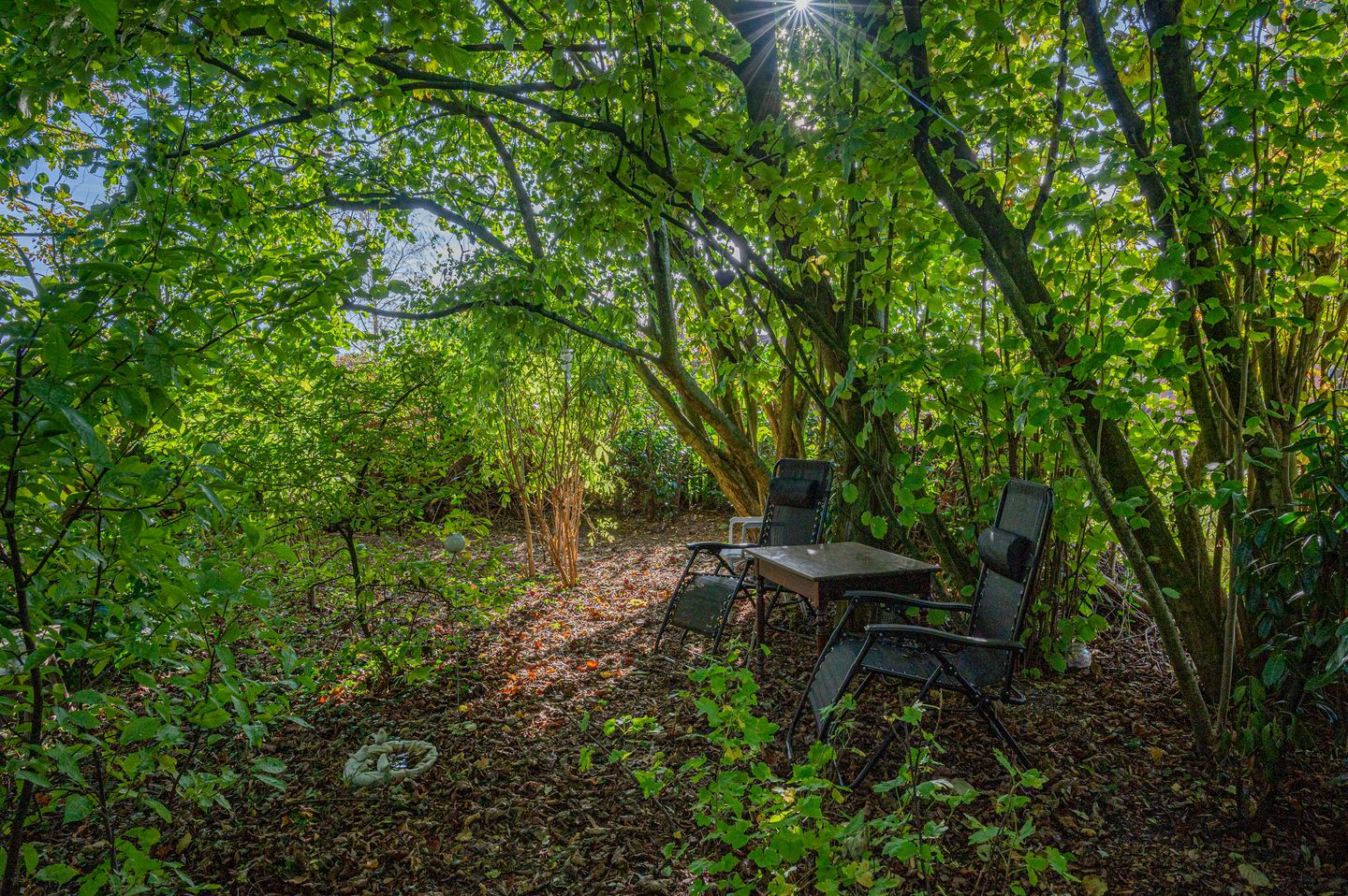 Foto 59 van Hoofdstraat 49