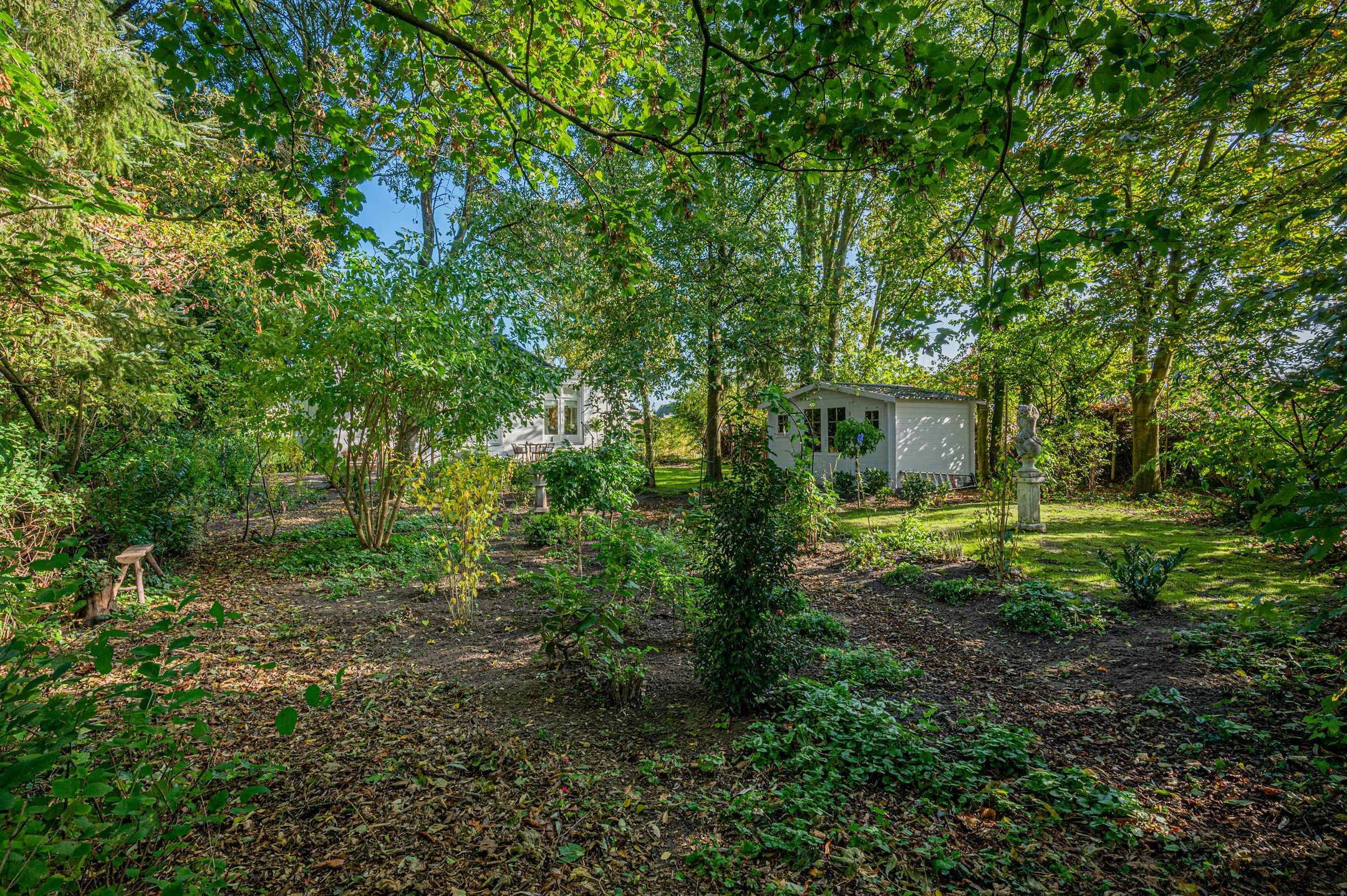 Foto 60 van Hoofdstraat 49