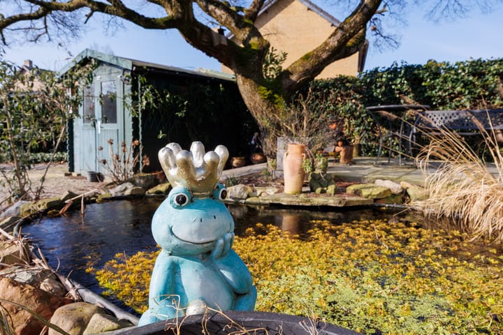 Foto 40 van Processieweg 1