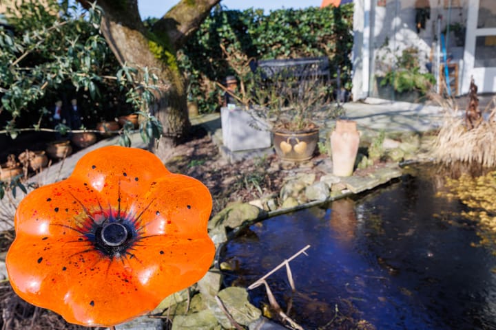 Foto 41 van Processieweg 1