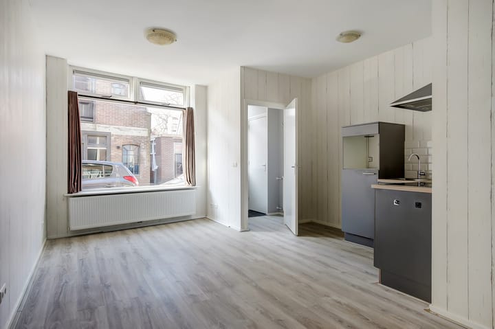 Photo 2 of Paulus Potterstraat 8-A