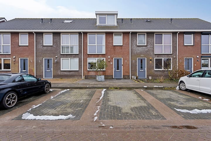 undefined main image