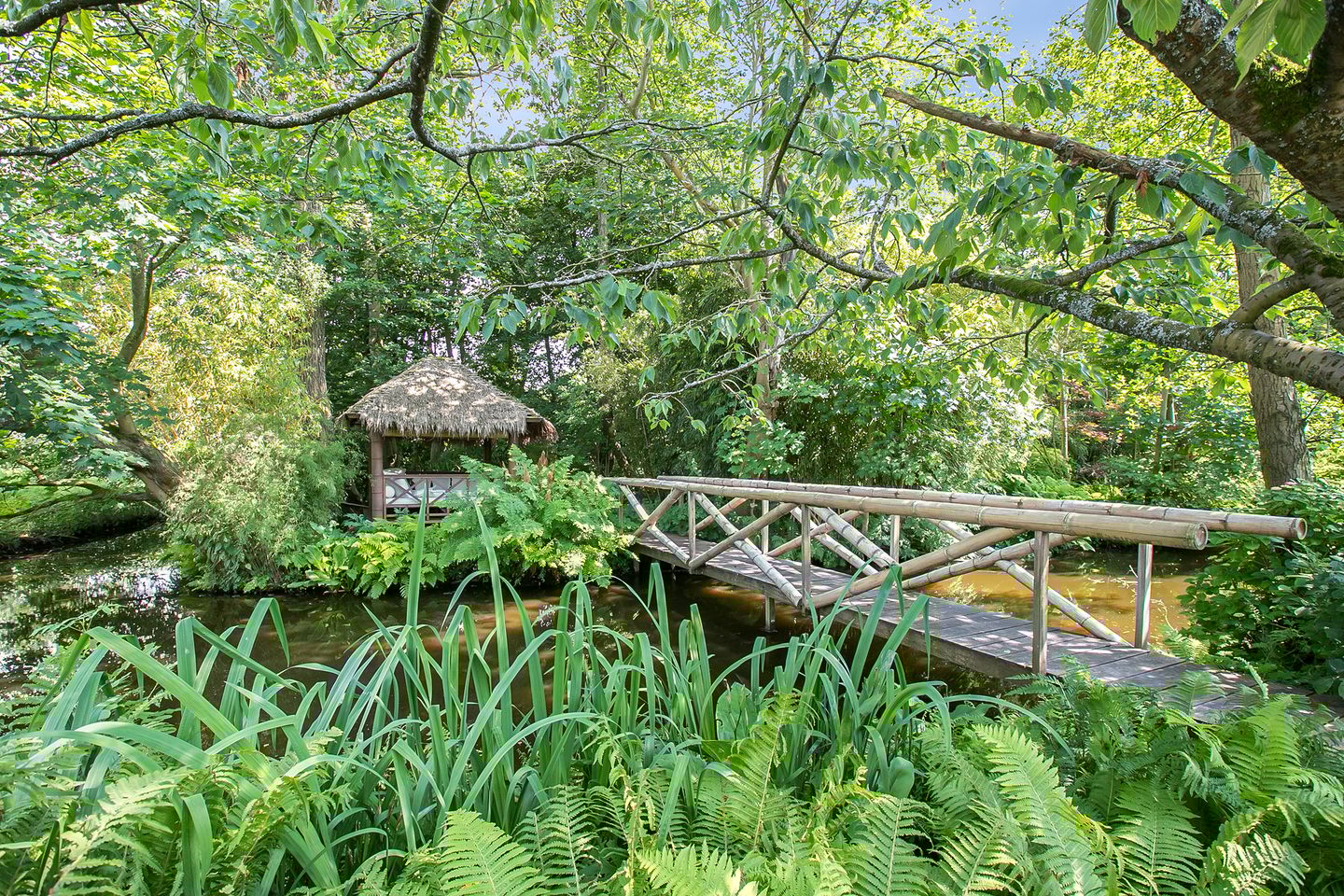 Foto 79 van Spoelwijkerlaan 2