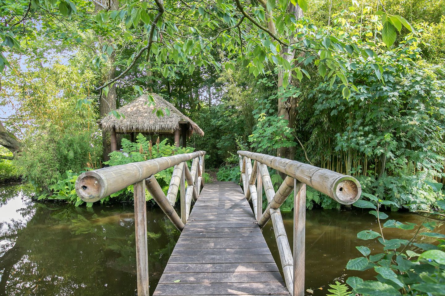 Foto 80 van Spoelwijkerlaan 2