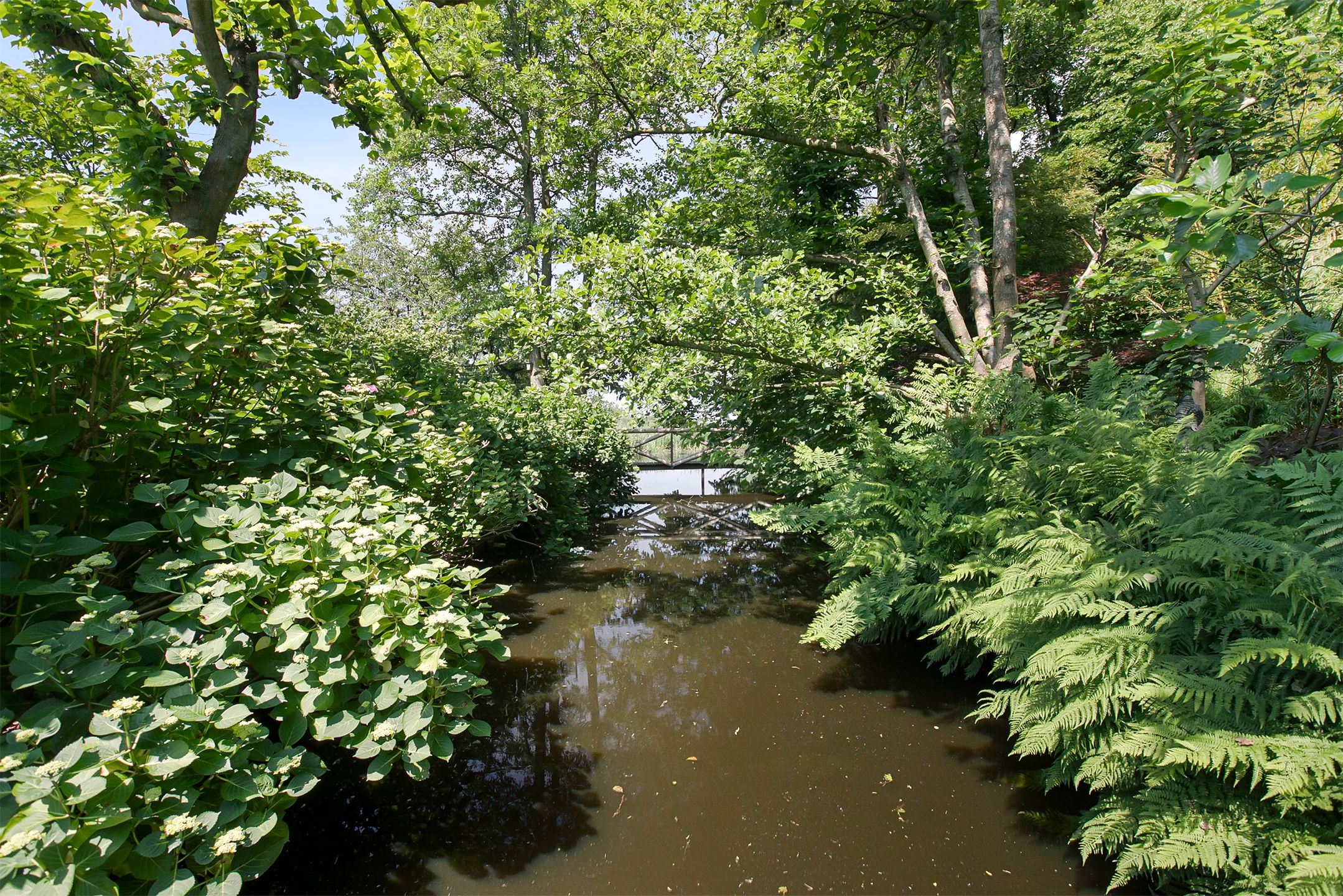 Foto 81 van Spoelwijkerlaan 2