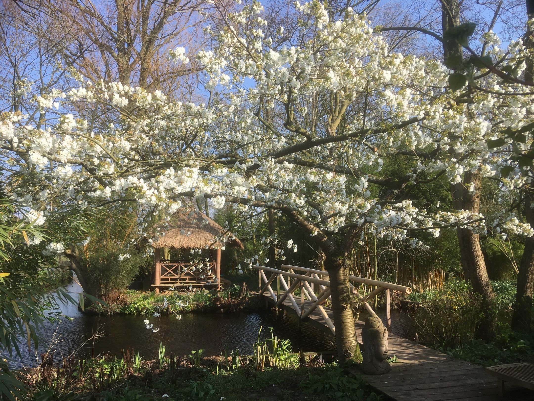 Foto 87 van Spoelwijkerlaan 2