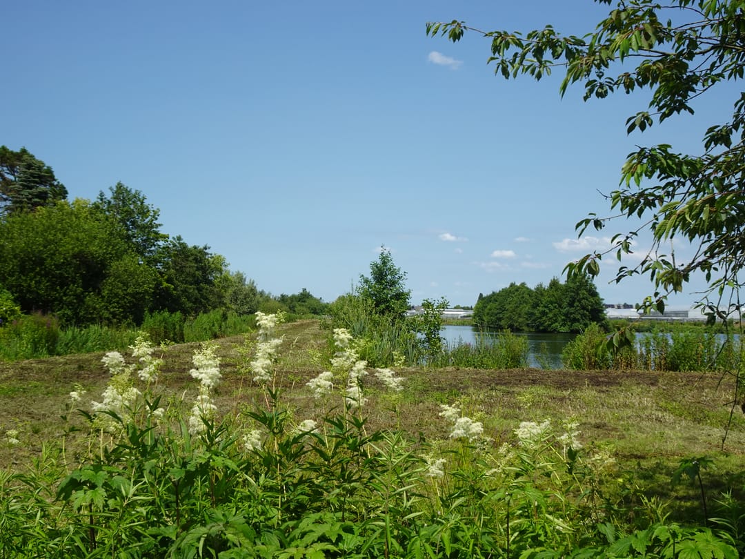 Foto 101 van Spoelwijkerlaan 2